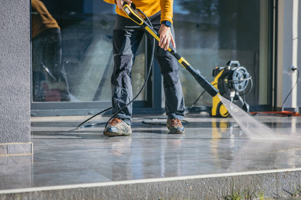 Best Roof Pressure Washing  in Ogden, IA
