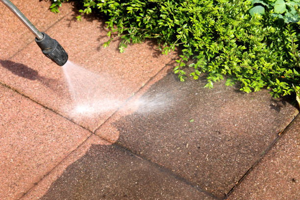 Best Deck Cleaning Services  in Ogden, IA